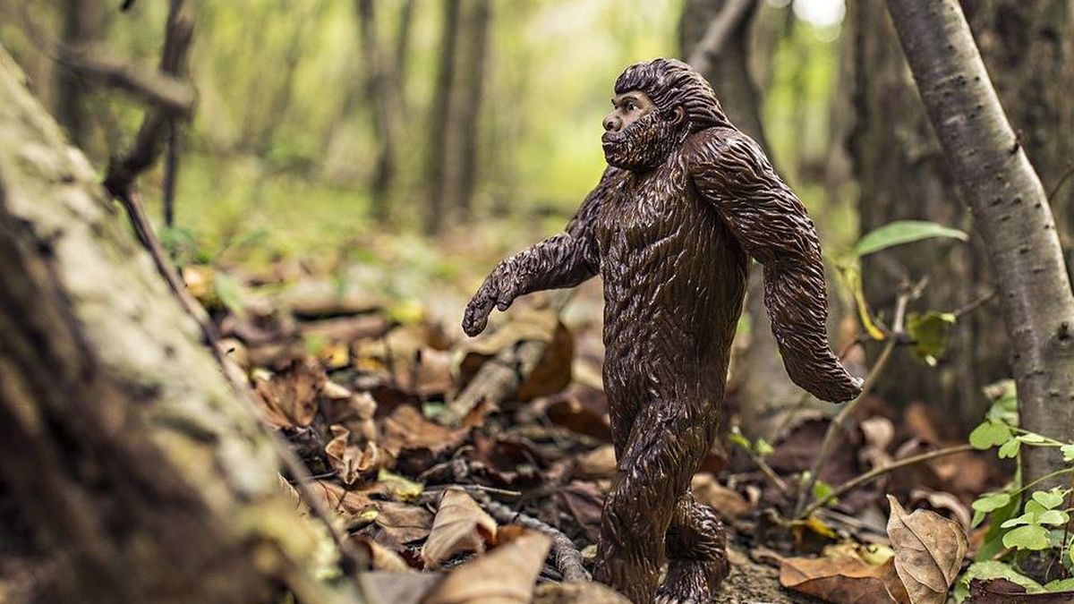 Un cazador de Bigfoot siembra el pánico en un Parque Nacional en Estados Unidos  