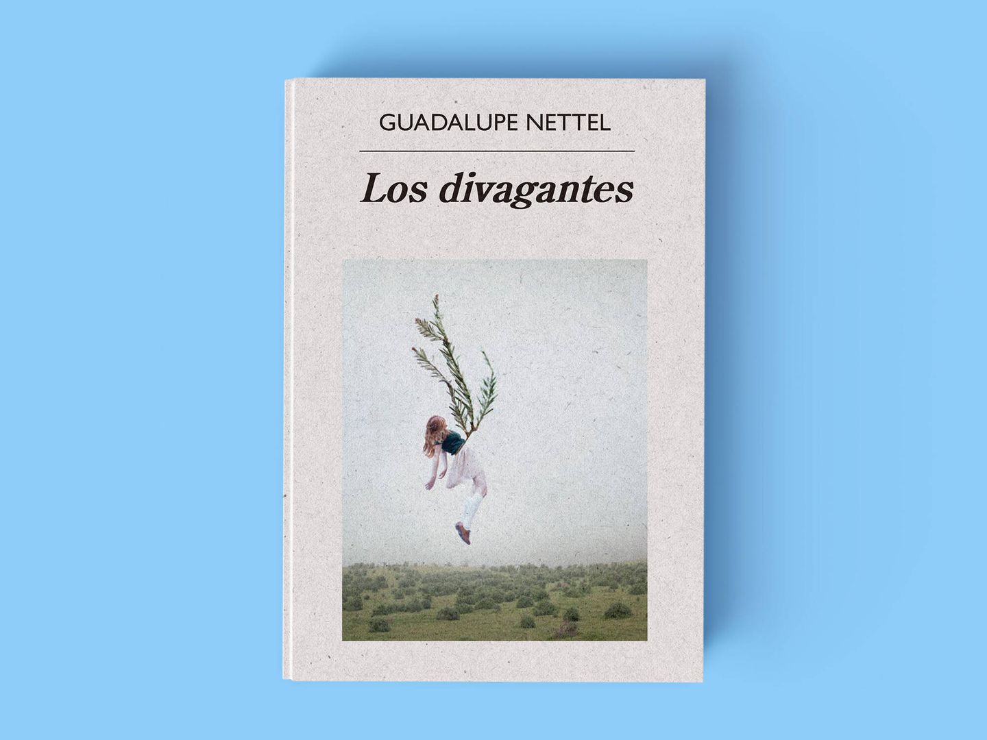 'Los divagantes', de Guadalupe Nettel. 