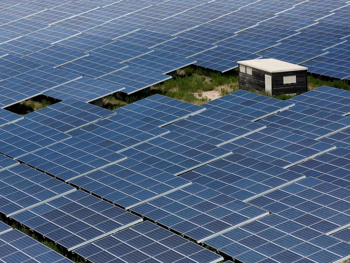 Foto: Imagen de archivo de un parque solar. (Reuters)