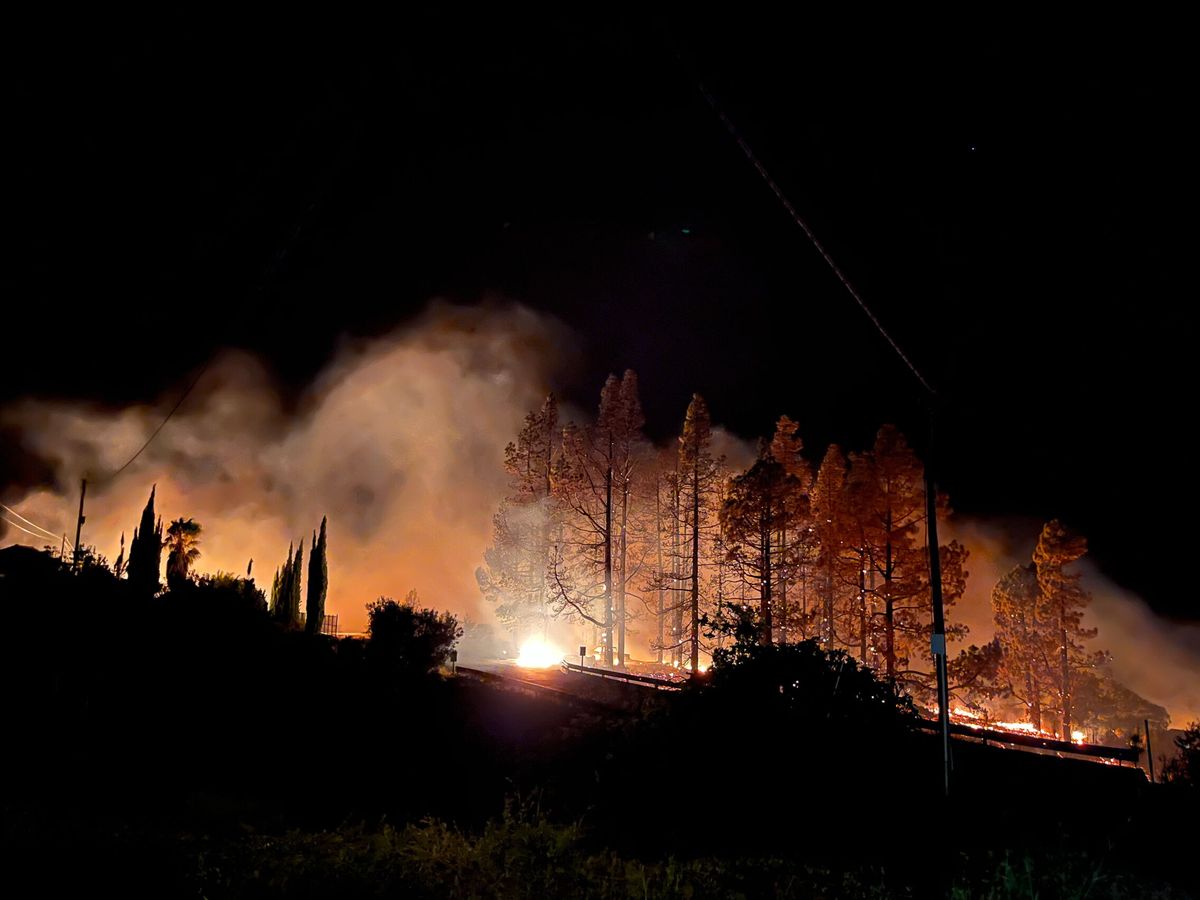 Foto: Varias decenas de evacuados de madrugada por un incendio forestal en La Palma. (EFE/Miguel Calero)
