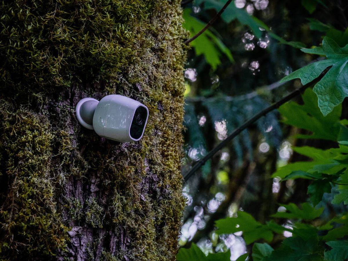 Solicitud Golpe fuerte Empuje hacia abajo Las mejores cámaras wifi para exterior en Amazon: seguridad ante todo