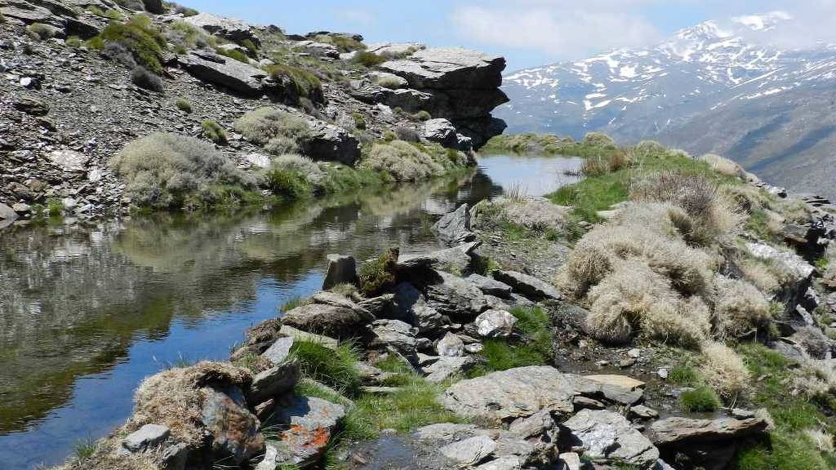 Caudales ecológicos, regantes o nieve artificial: las guerras del agua de Sierra Nevada