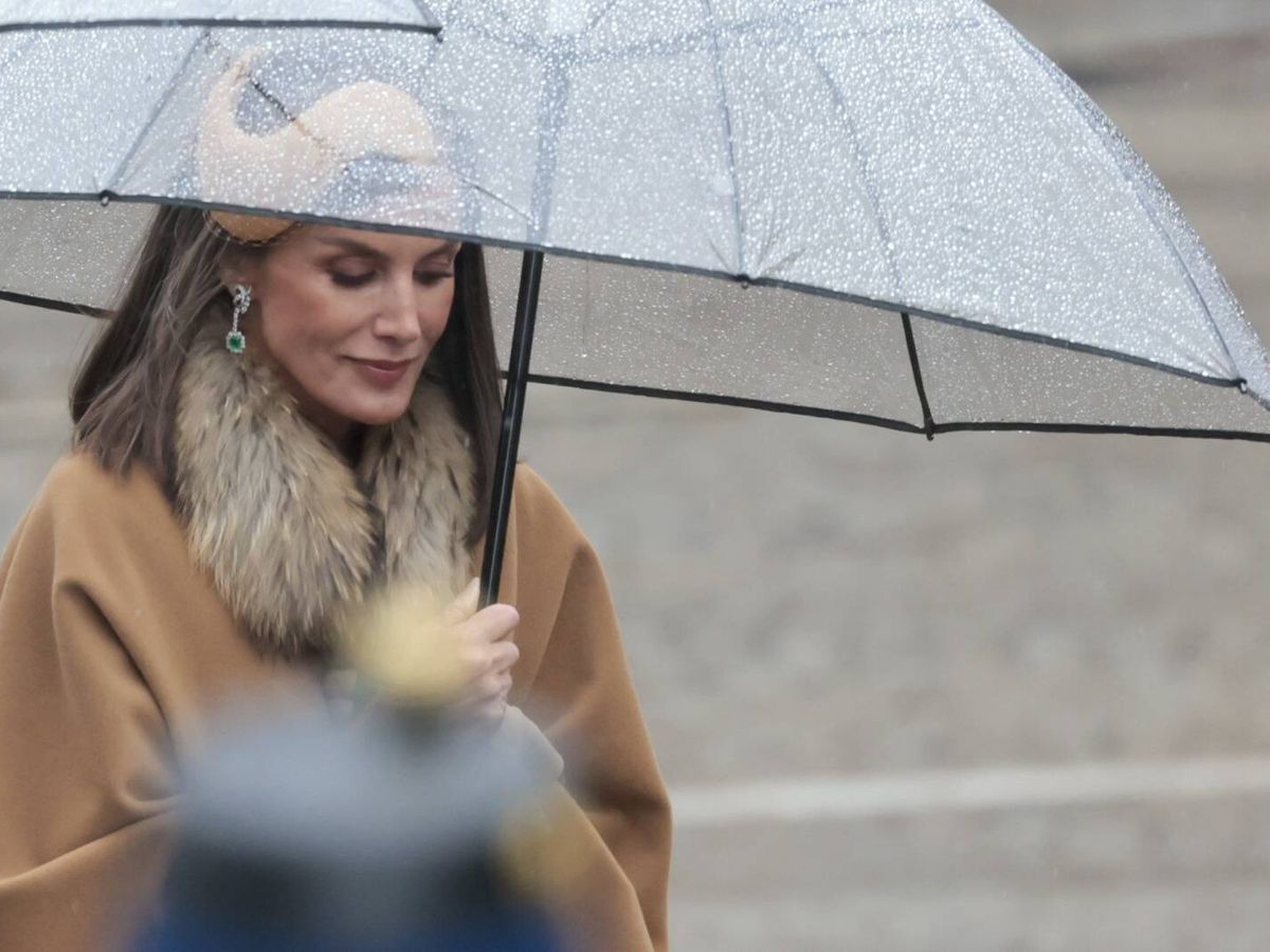 Foto: La reina Letizia, bajo la lluvia en Ámsterdam. (Gtres)