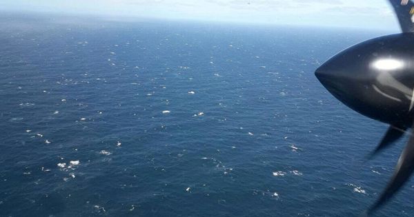 Foto: Autoridades argentinas buscan el submarino ara san juan