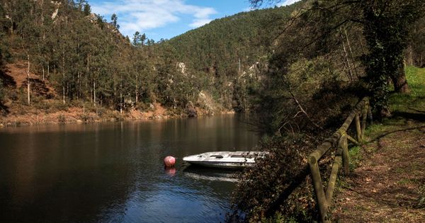 Foto: Vista general del lugar en donde se localizó el cadáver de la gijonesa María Paz Fernández Borrego, de 43 años, flotando en una zona de difícil acceso en una orilla del embalse. (EFE)
