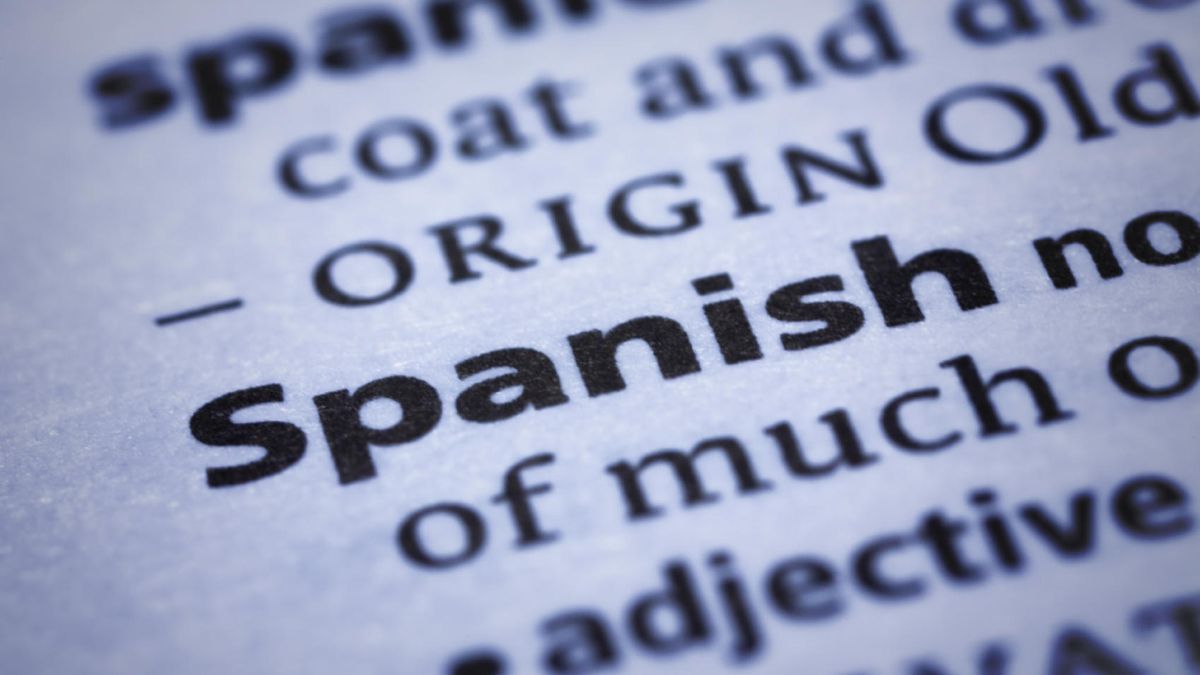 Rosalía, las series y el turismo: los motivos para aprender español en Europa