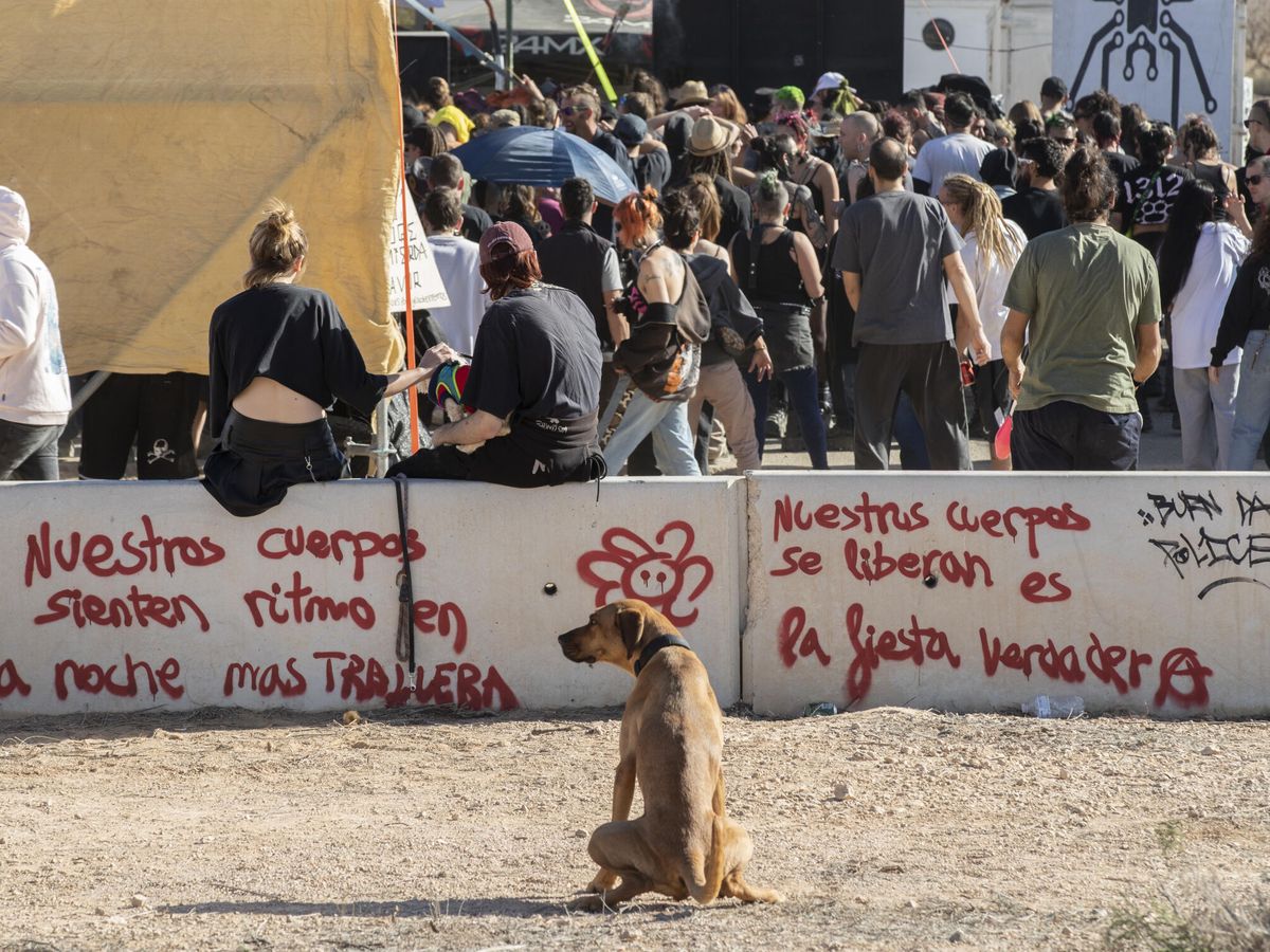 Foto: 5.000 jóvenes se concentran en una fiesta clandestina en Fuente Álamo. (EFE / Marcial Guillén)