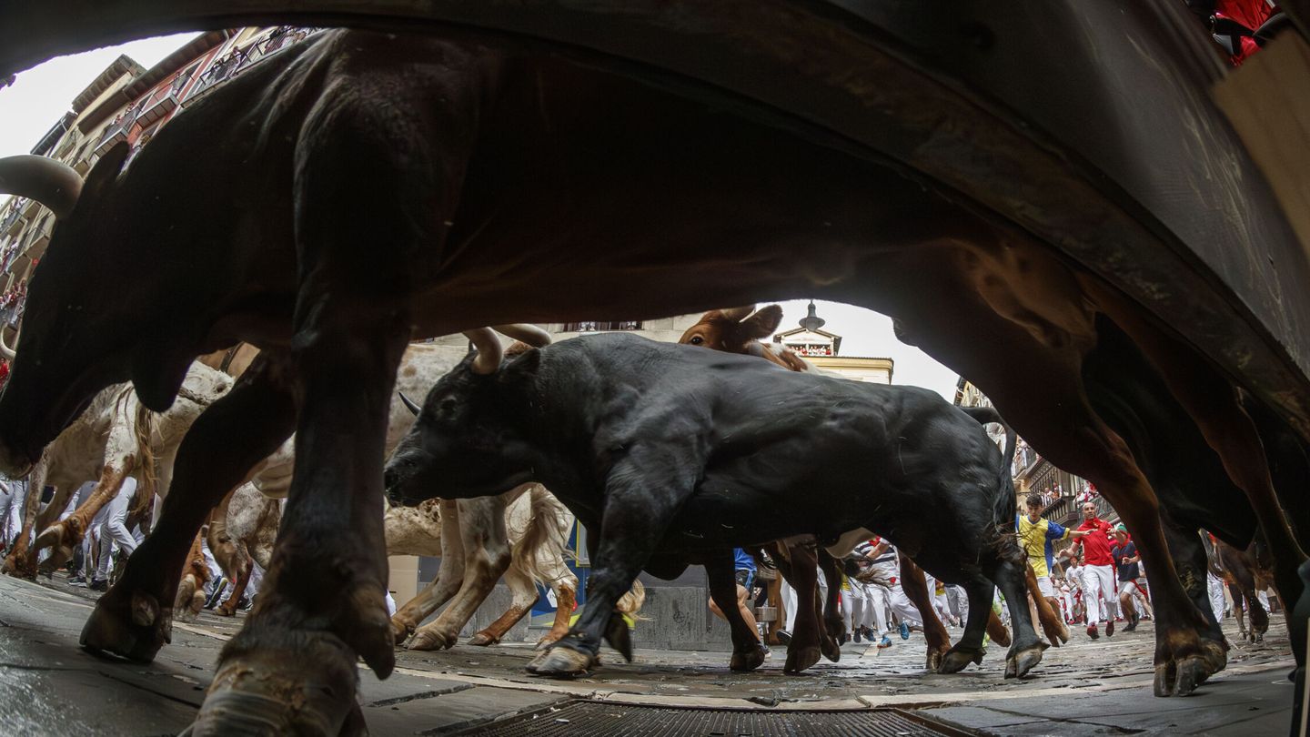 Los toros de la ganadería La Palmosilla a su llegada a la curva de Mercaderes. (EFE/Rodrigo Jiménez)