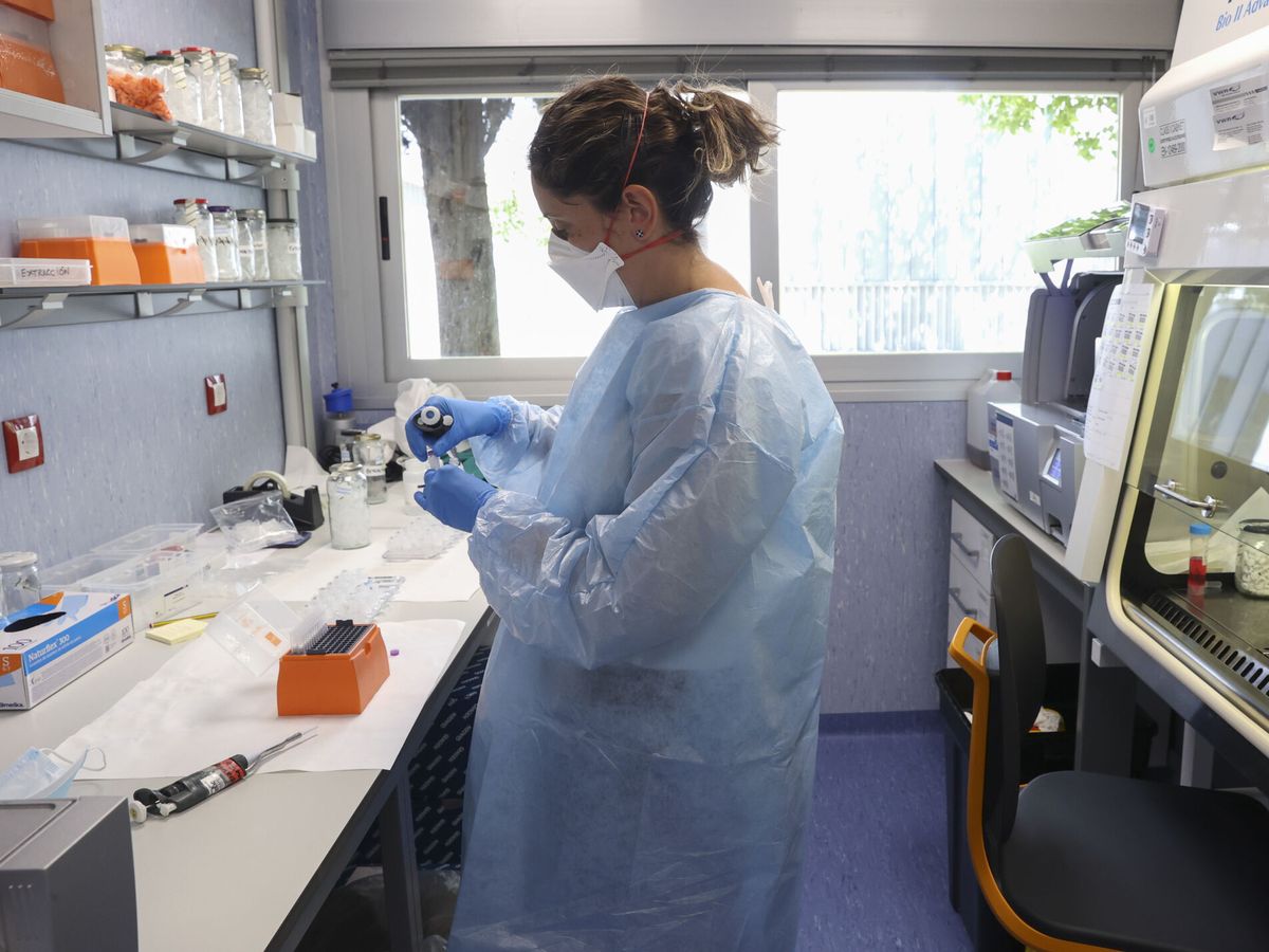 Foto: El laboratorio de arbovirus y enfermedades víricas del Centro Nacional de Microbiología. (EFE/Kiko Huesca)