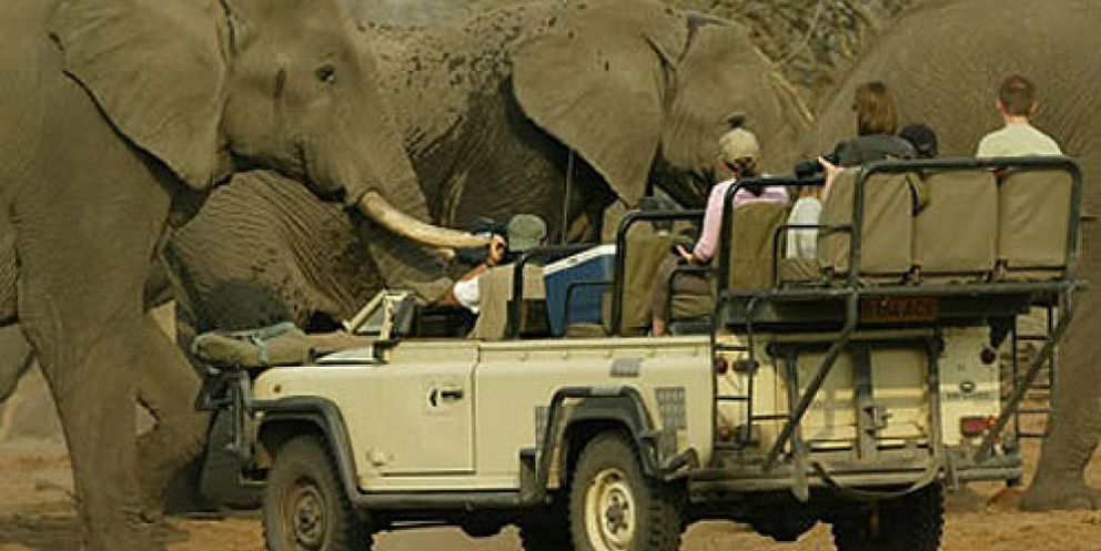 Foto: Botsuana ofrece safaris con licencia para abatir un elefante por 37.000 euros