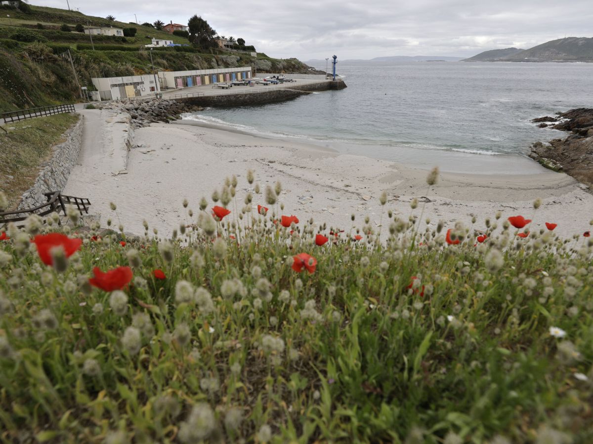 Foto: Foto de archivo de la playa do Porto de Suevos. (EFE/Cabalar)