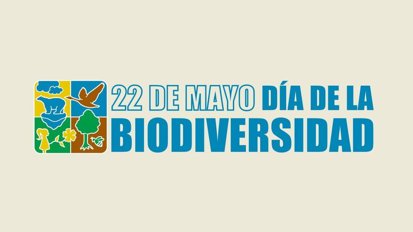 Logo Día Mundial de la Biodiversidad (ONU)