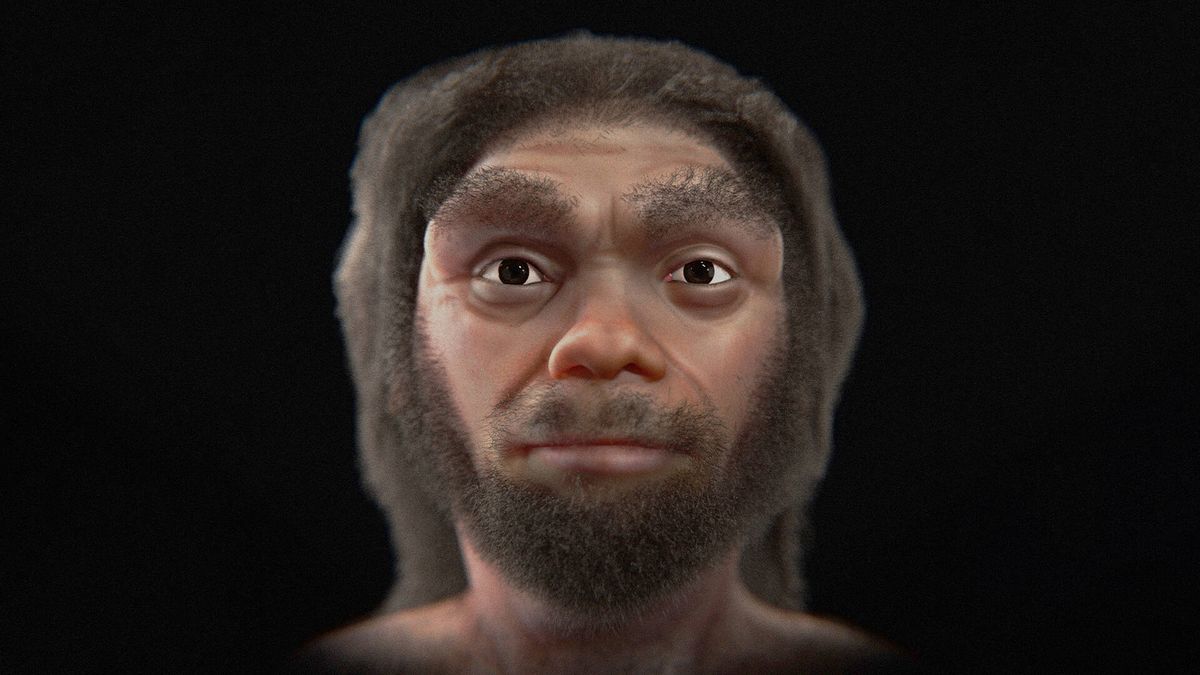 Por fin sabemos la cara que tenía el Homo longi, nuestro antepasado de hace 146.000 años