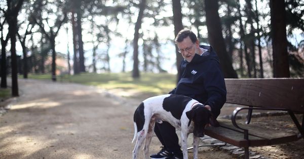 Foto: El presidente del Gobierno, Mariano Rajoy, con su perro en los jardines de La Moncloa. (EFE)