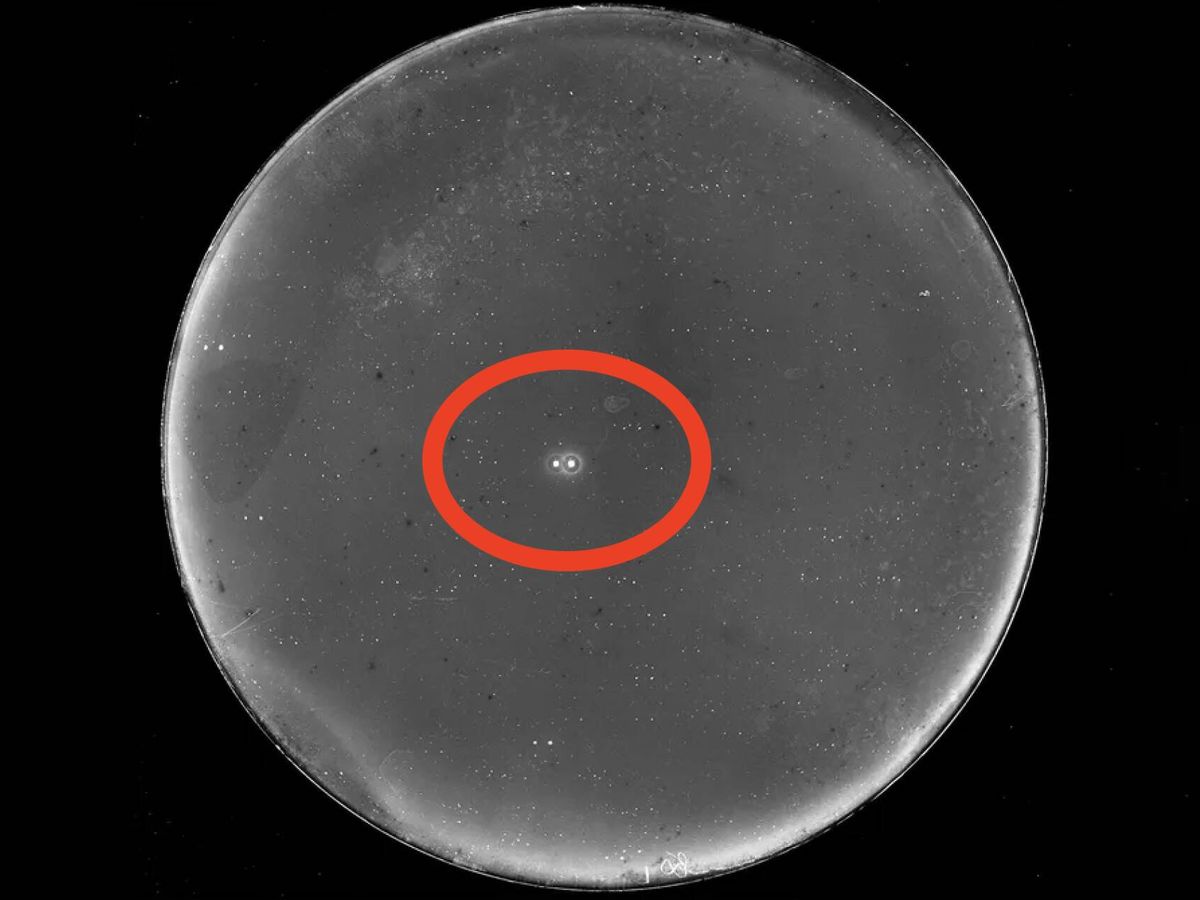 Estudo da Universidade de Michigan descarta a existência de planeta gigante no sistema 70 Ofiuco
