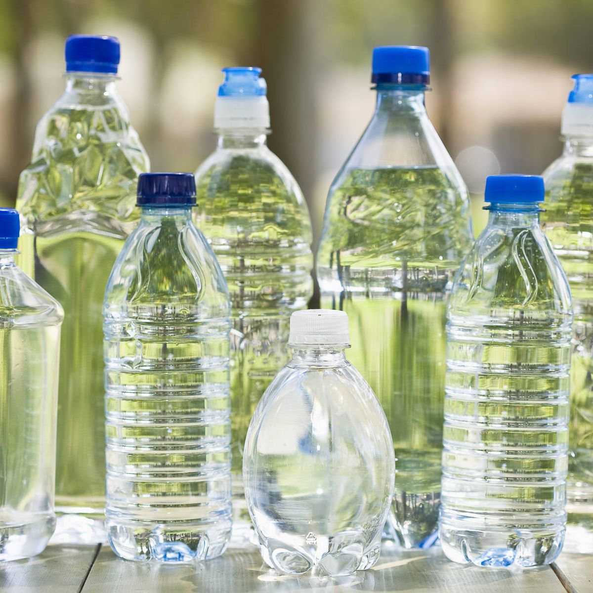 Las bacterias dominio Deshacer Por qué nunca debes rellenar de agua una botella de plástico