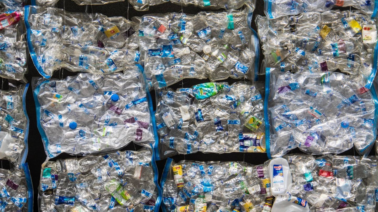 Los consultados apuestan por el reciclaje como una de las principales contribuciones. Unsplash