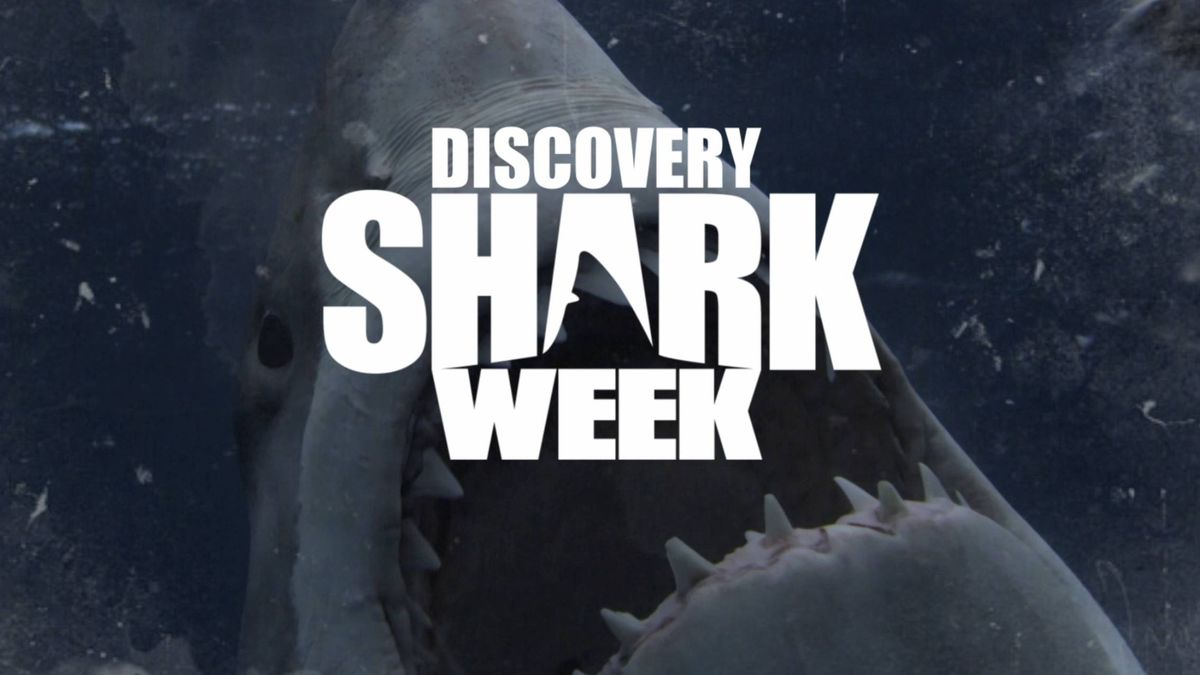 Discovery Channel estrenará 19 documentales inéditos en su 'Shark Week'