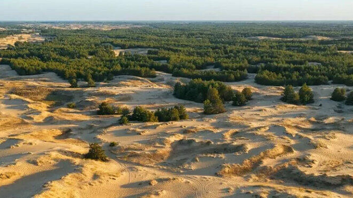 El desierto de Oleshky: Hay partes del desierto en las que sólo se ve arena. Aquí hay una zona mixta. Foto: Khers-on.com.