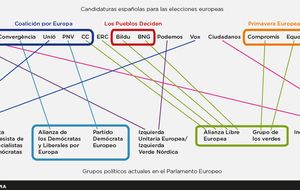 ¿A qué partido europeo das tu voto? Las coaliciones se deshacen en Bruselas 