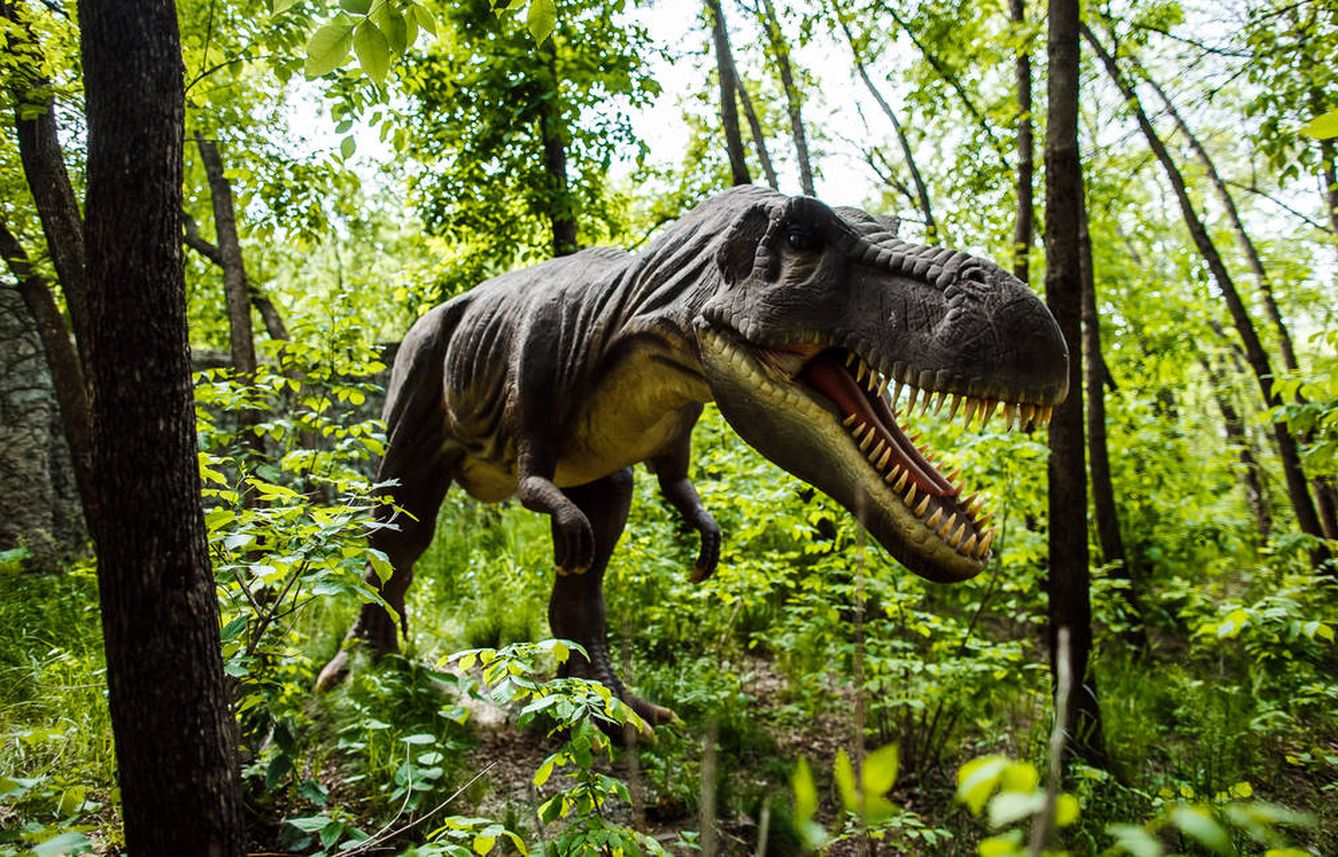 Uno de los dinosaurios de Dinopark. (Shutterstock)