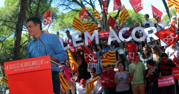 Foto: El secretario general del PSOE, Pedro Sánchez, interviene en el acto político en la Fiesta de la Rosa de los socialistas en Gavà. (EFE)