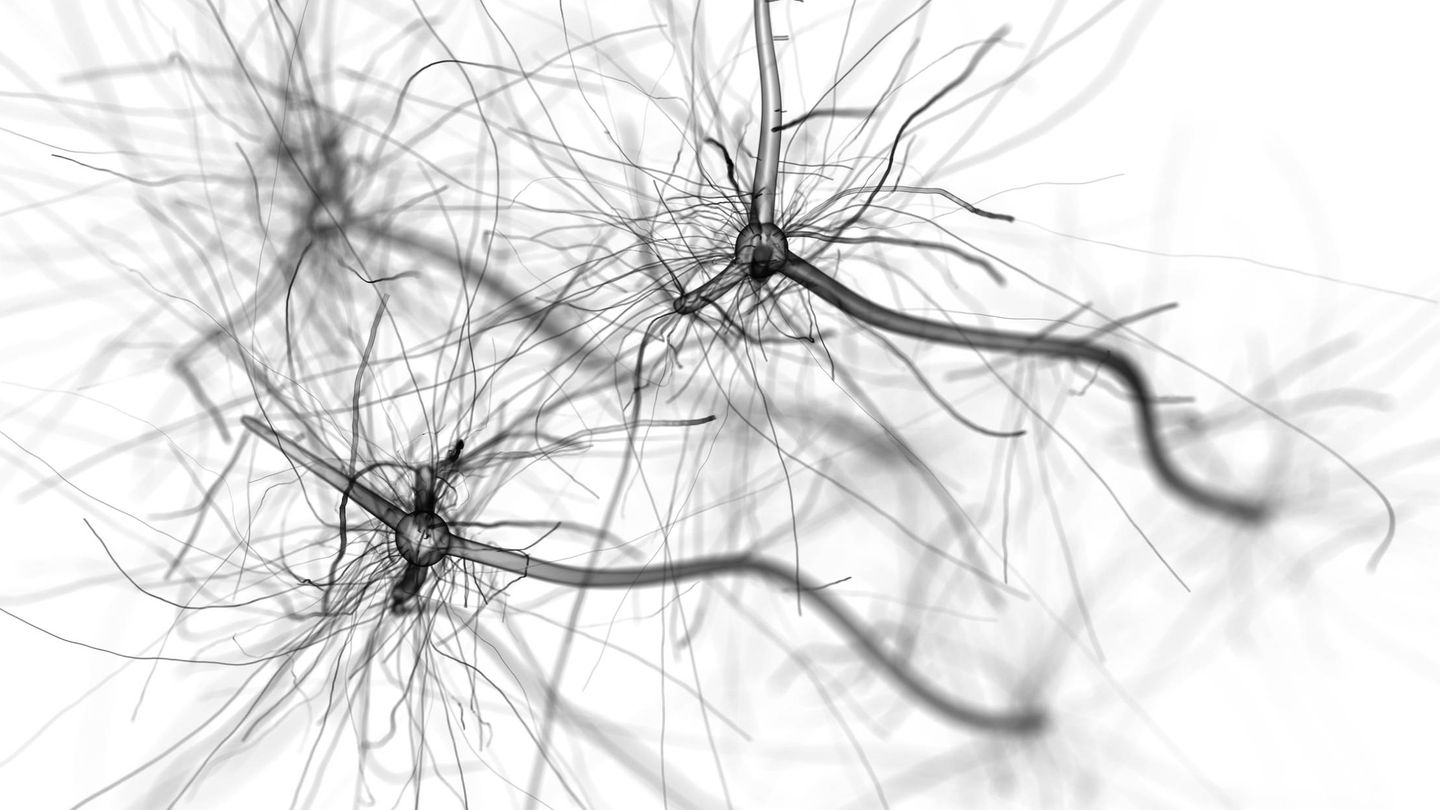 Red celular de la neurona en blanco.
