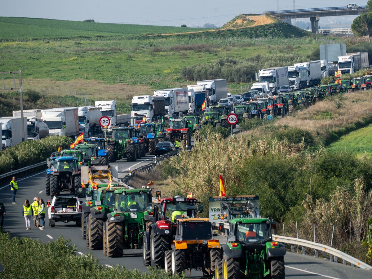 Foto: Tractores y agricultores cortan la A-4 en ambas direcciones a la altura de Carmona, en Sevilla. (Francisco J. Olmo/Europa Press)