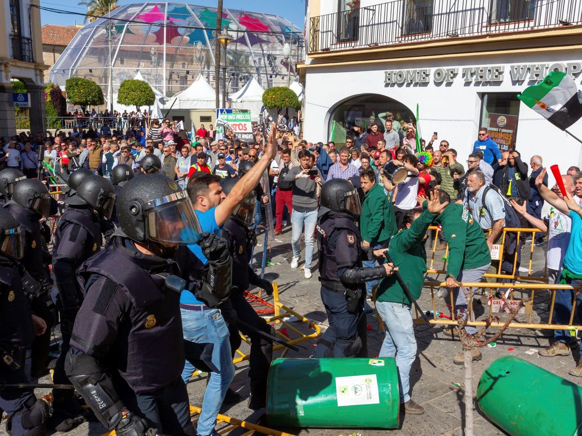 Foto: Manifestación de los agricultores extremeños este viernes en Mérida. (EFE)