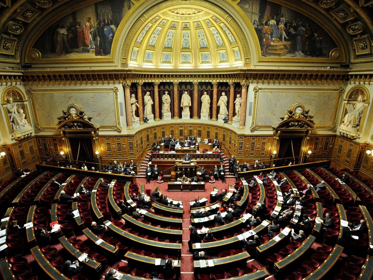 Foto: Vista general del Senado. (EFE/Yoan Valat)