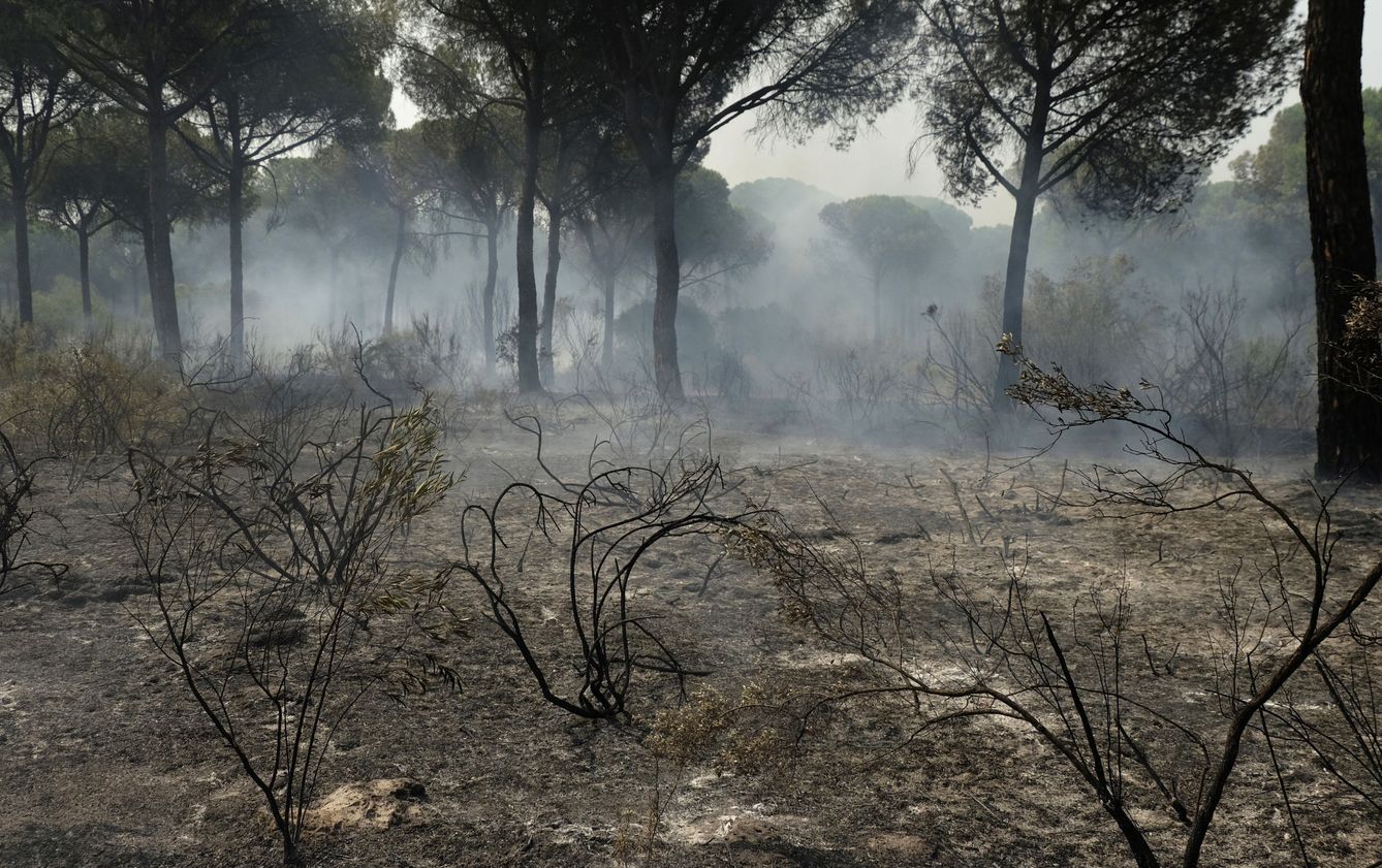 [Pinche aquí para ver las imágenes del incendio del entorno de Doñana]