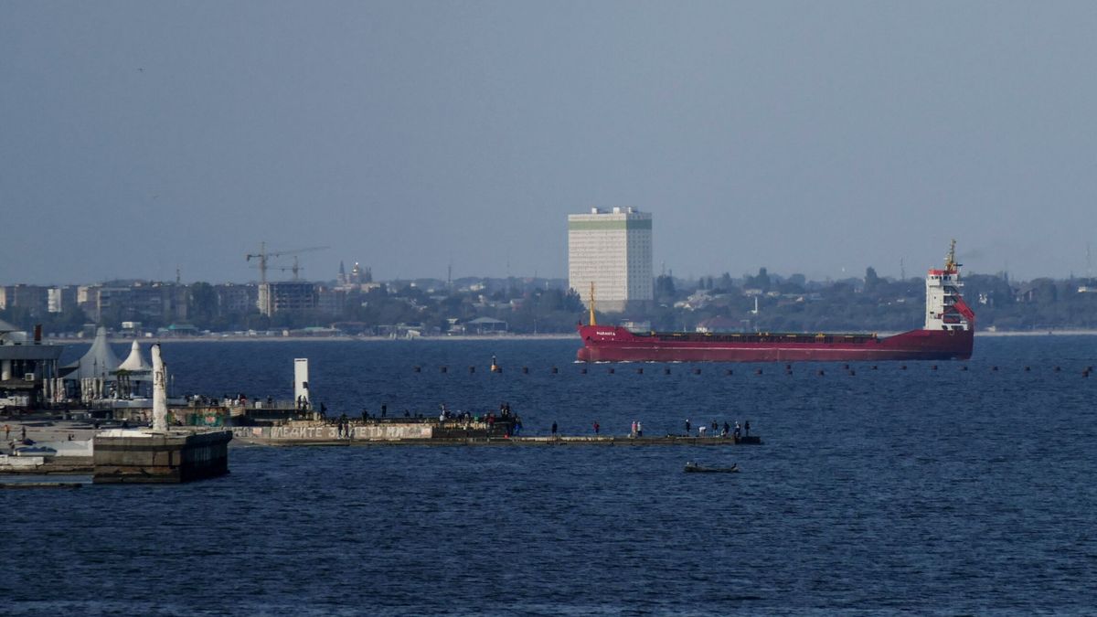 Ucrania anuncia la destrucción de un buque ruso de asalto anfibio en el mar Negro
