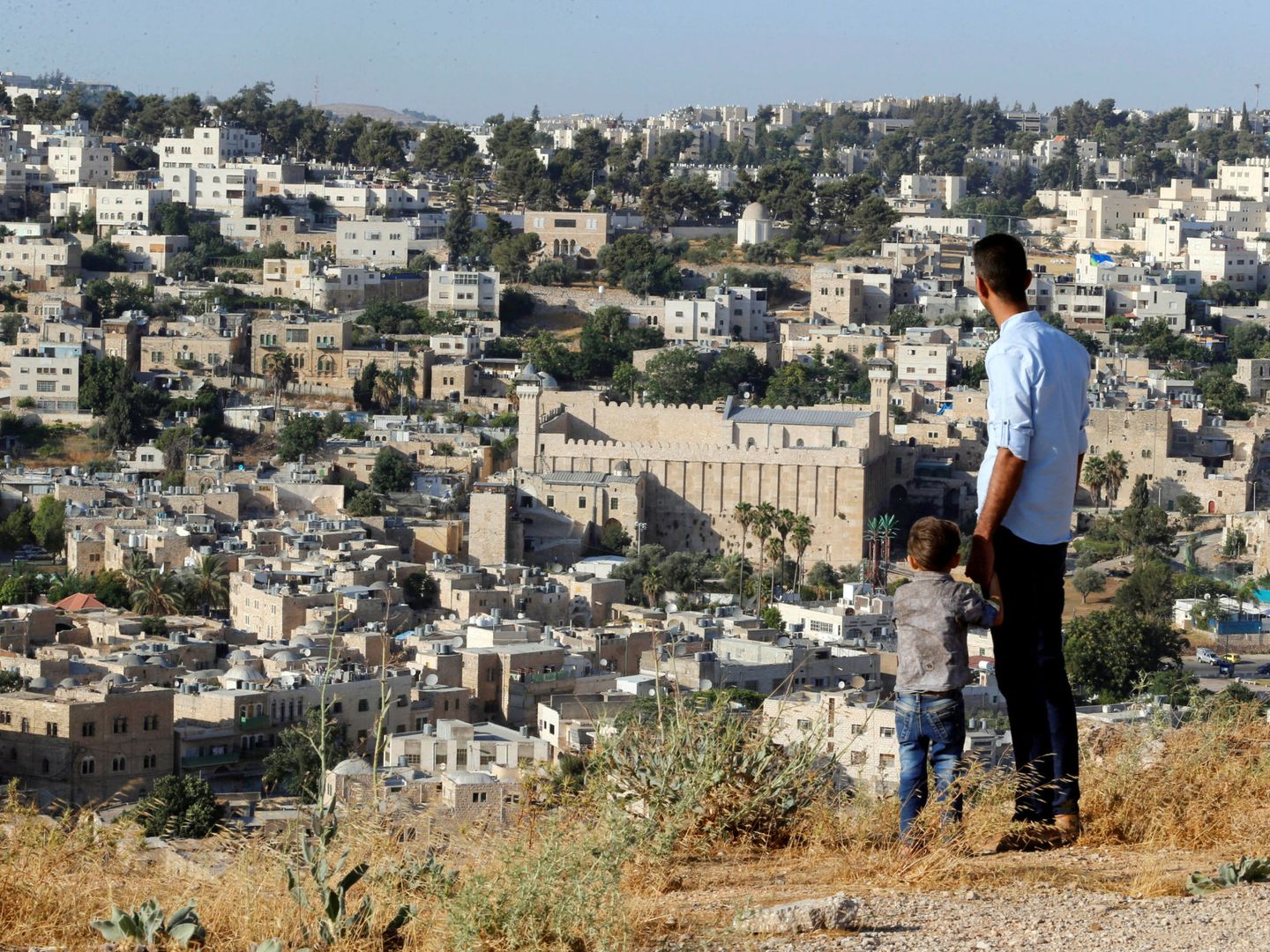 Un palestino contempla desde un montículo a las afueras de Hebrón la vista de la ciudad. (Reuters)