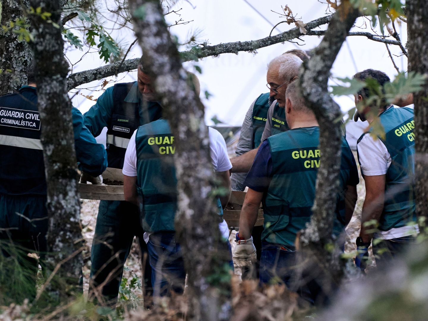 Agentes de la Guardia Civil y de la Policía Nacional baten el terreno donde aparecieron restos de Juana Canal, en la zona de Navalacruz (Ávila). (EFE/Raúl Sanchidrián)