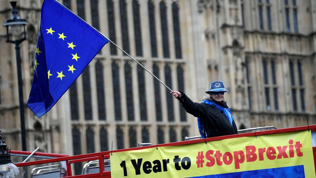 El comité del Brexit pide la permanencia británica en el Espacio Económico Europeo
