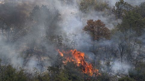 Muchas zonas ya quemadas volverán a arder este verano: sabemos cuáles y por qué 