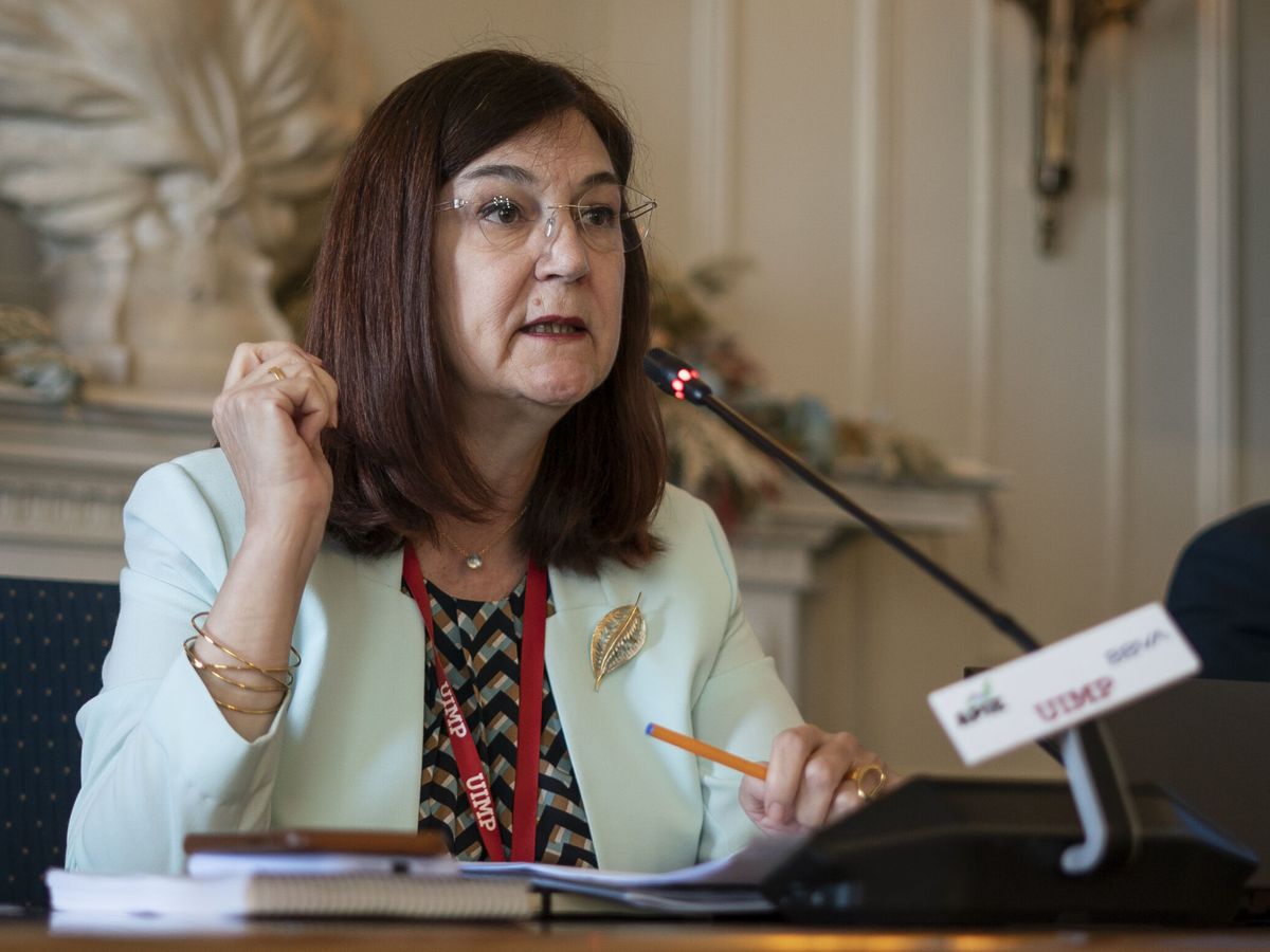 Foto: La presidenta de la Comisión Nacional de los Mercados y la Competencia (CNMC), Cani Fernández. EFE ROMÁN G. AGUILERA