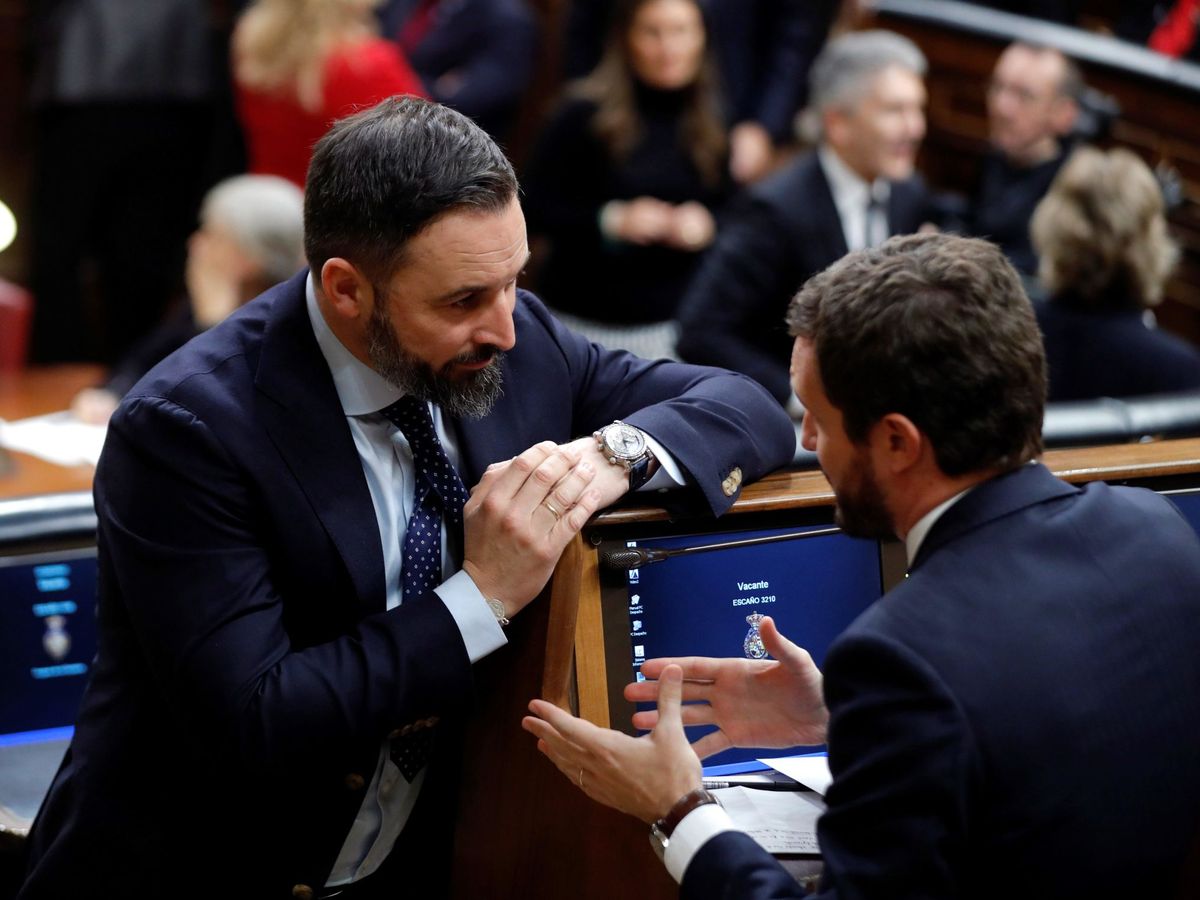 Foto: El presidente del Partido Popular, Pablo Casado, y el líder de Vox, Santiago Abascal, conversan durante la sesión constitutiva de la Cámara Baja el pasado mes de diciembre. (EFE)