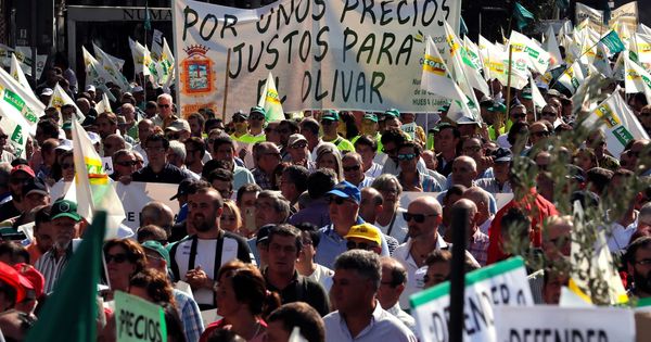 Foto: Manifestación de olivareros en Madrid la semana pasada. (EFE)
