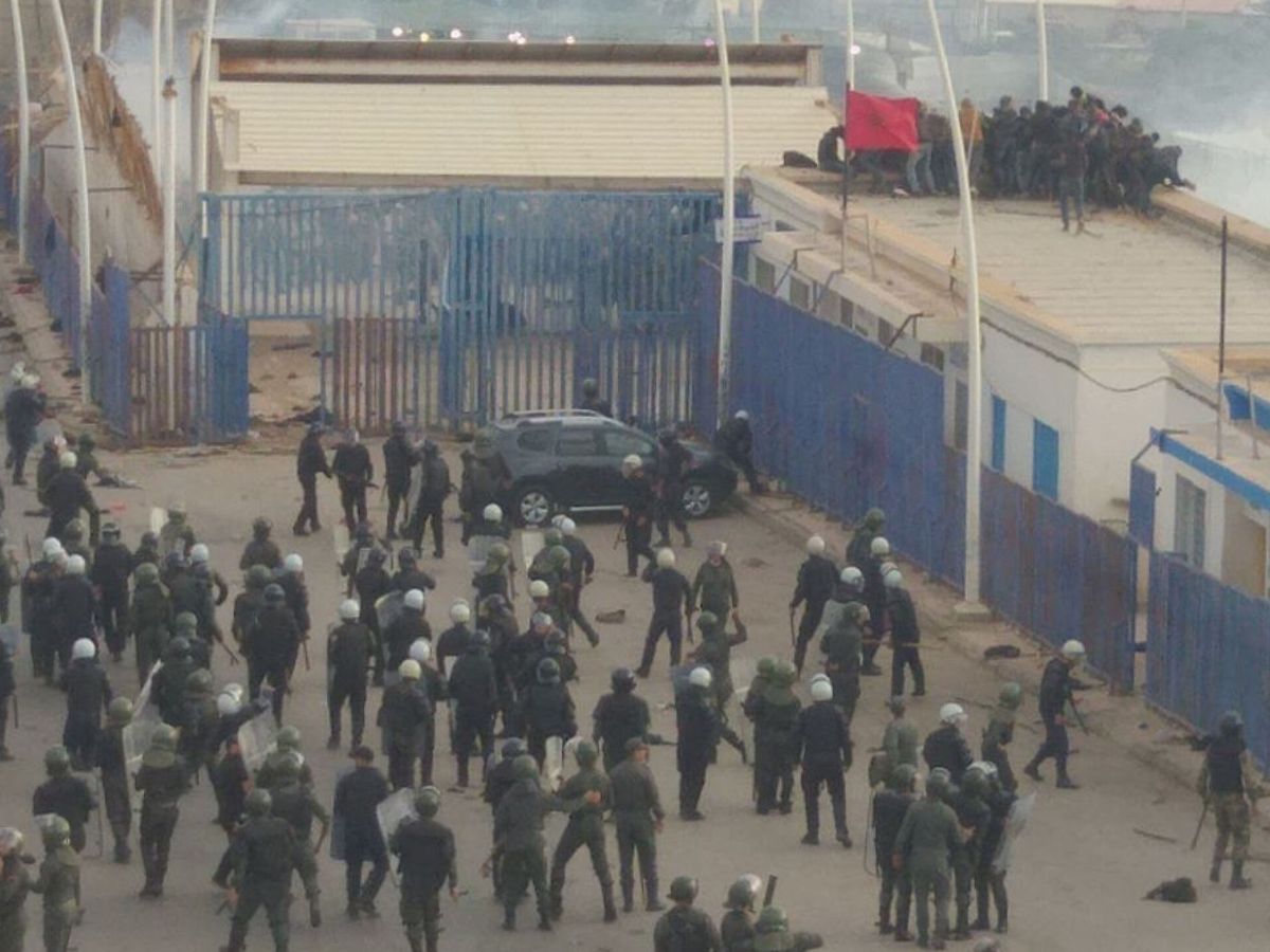Foto: Cientos de inmigrantes intentan cruzar la valla de Melilla. (EFE)