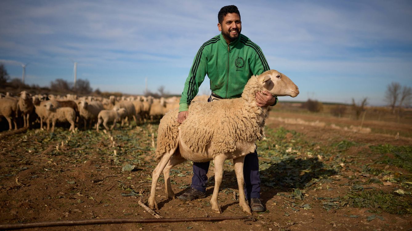 Foto: Abdul posa con una de las ovejas que tiene en su rebaño de Ribaforada. (EC/Unai Beroiz)