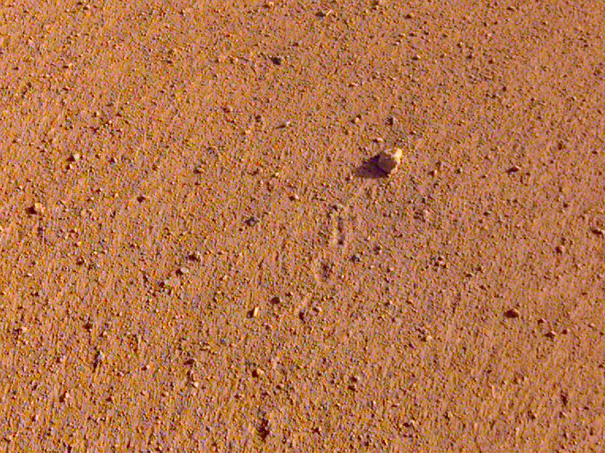 Foto: Oxford halla una extraña reacción química en Marte. (Reuters)
