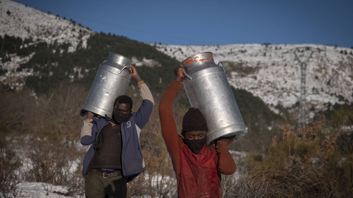 Cargando leche por los montes nevados: el temporal pone en jaque al mundo rural