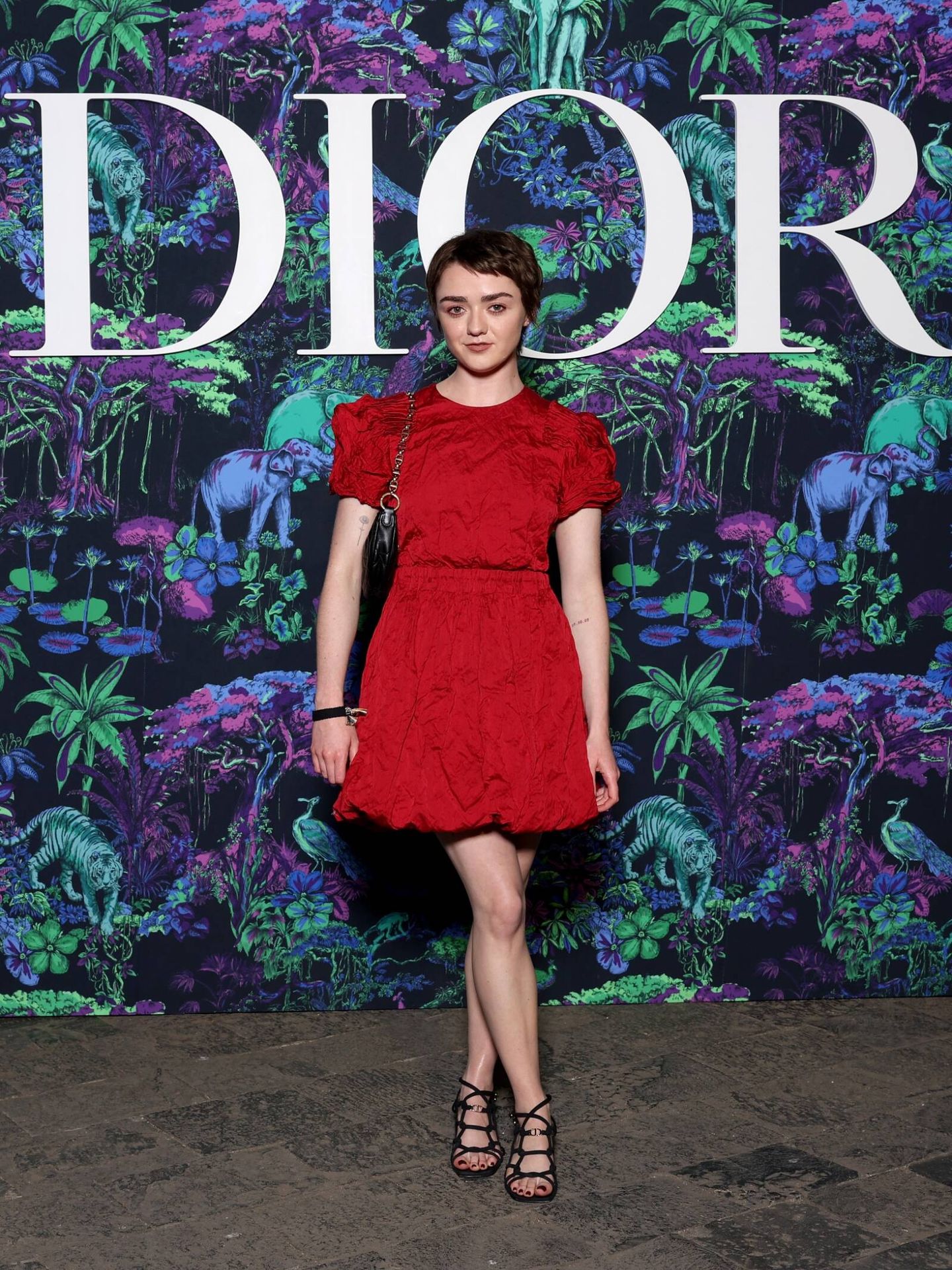 Maisie Williams. (Getty Images)