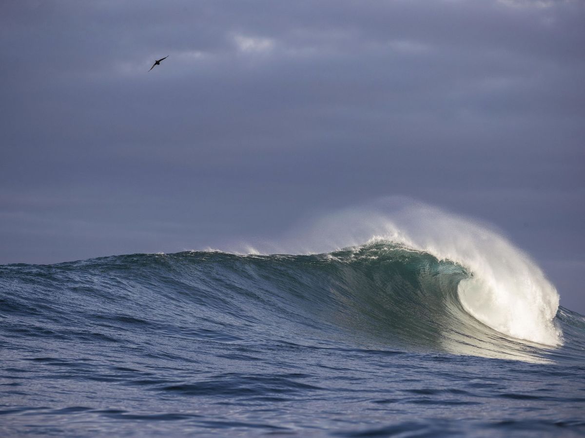 Foto: Una ola en el océano Atlántico. Foto:  EFE EPA NIC BOTHMA