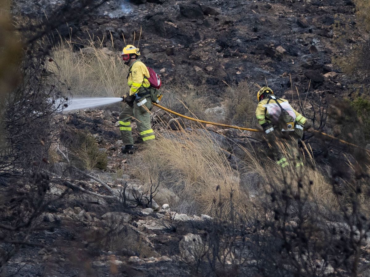 Foto: Agentes medioambientales de la Comunidad de Murcia en un incendio forestal. (EFE/Marcial Guillén)
