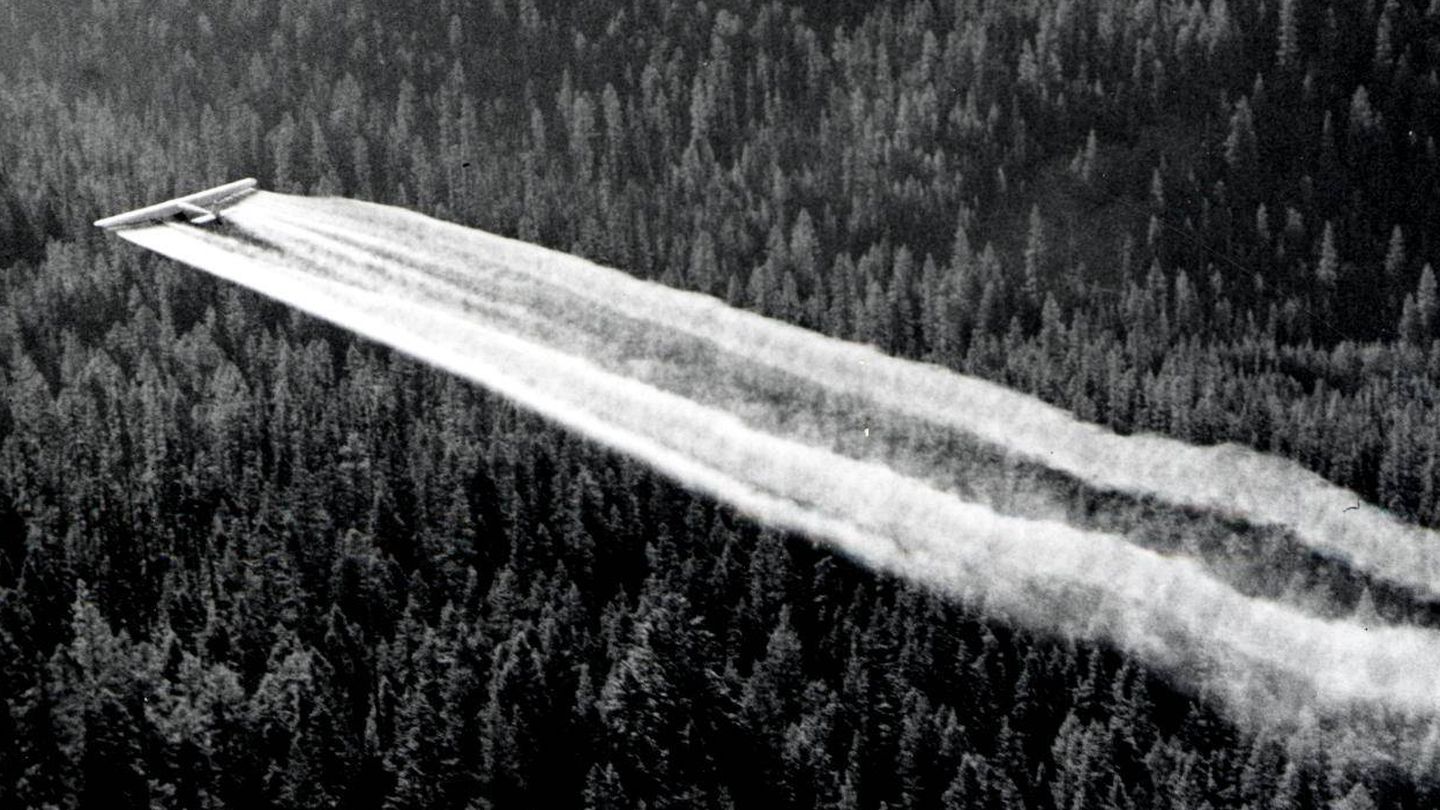 Un avión espolvorea insecticida DDT. (Wikimedia Commons)