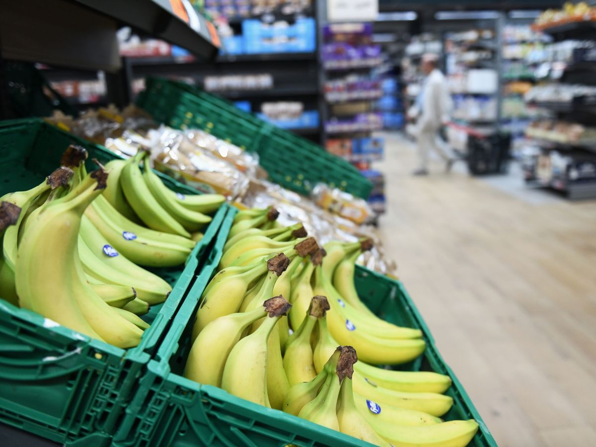 Foto: ¿Por qué los plátanos son curvos y no esféricos? (Europa Press/Fernando Sánchez)