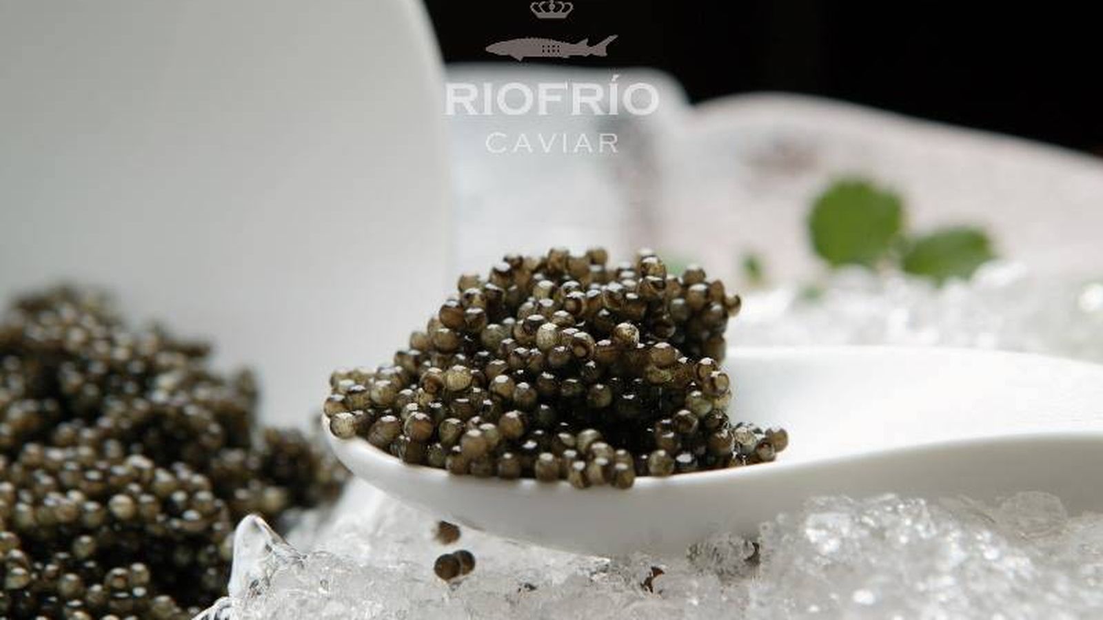 Foto: Caviar, un manjar.