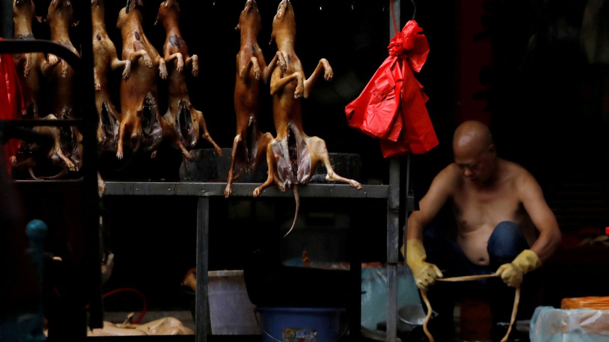 China inaugura su famoso festival de carne de perro en mitad de la pandemia